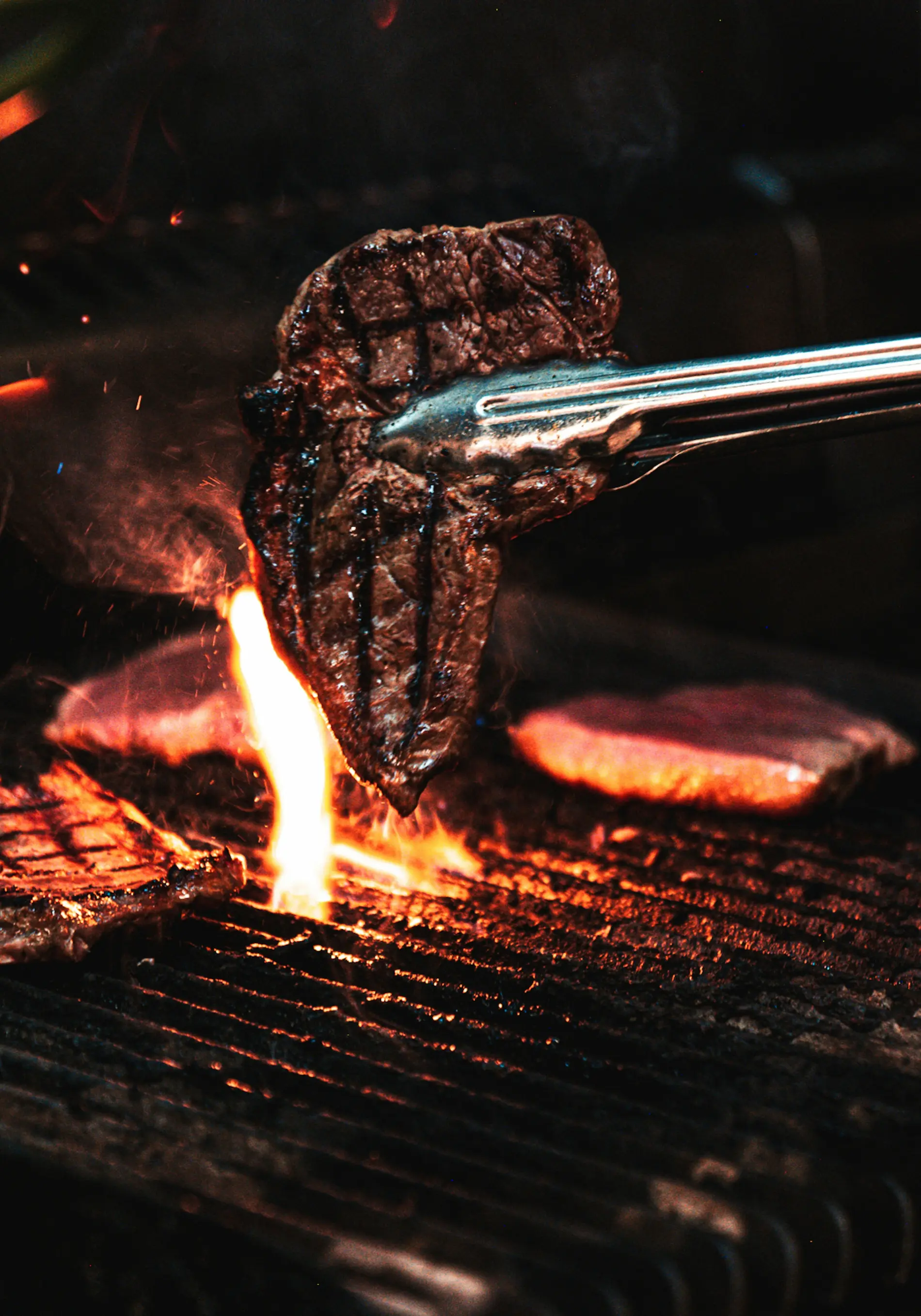 Carnes y verduras cocinándose sobre la brasa